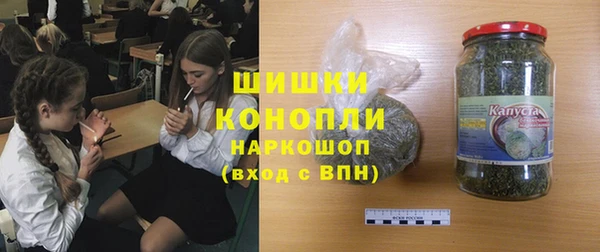 индика Бежецк