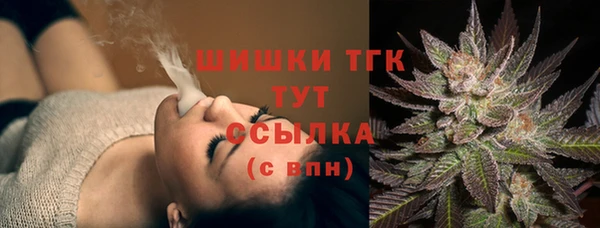 ALPHA PVP Козельск