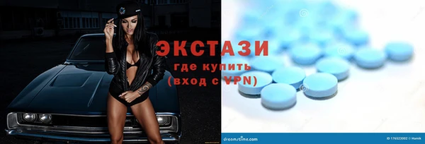 индика Бежецк