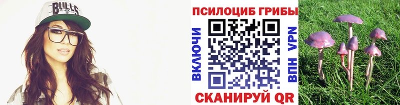 что такое наркотик  Котово  Псилоцибиновые грибы мухоморы 